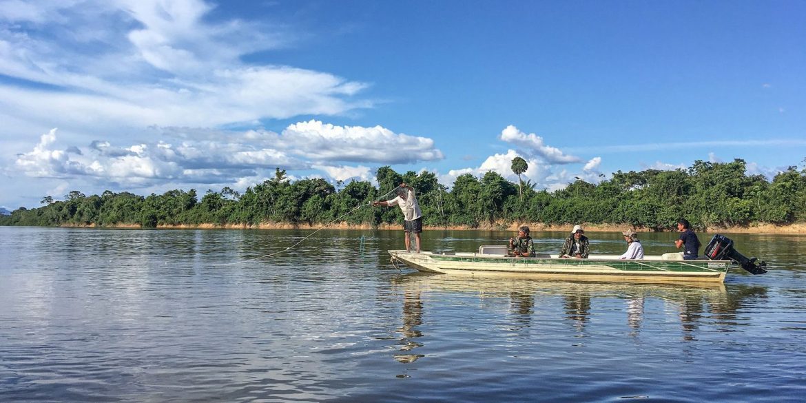 Peixes migratórios de água doce estão entre os mais ameaçados no mundo